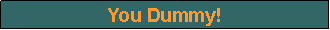 Text Box: You Dummy!